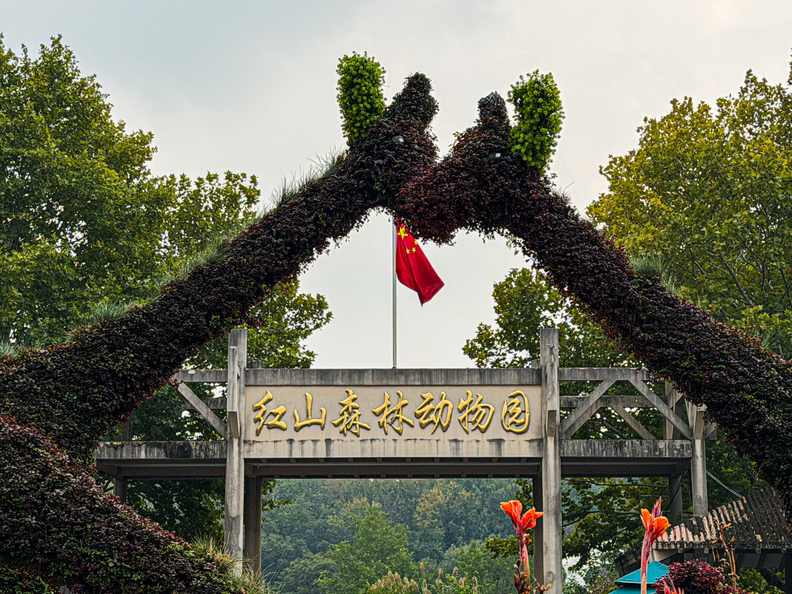 南京相册第 28 张照片