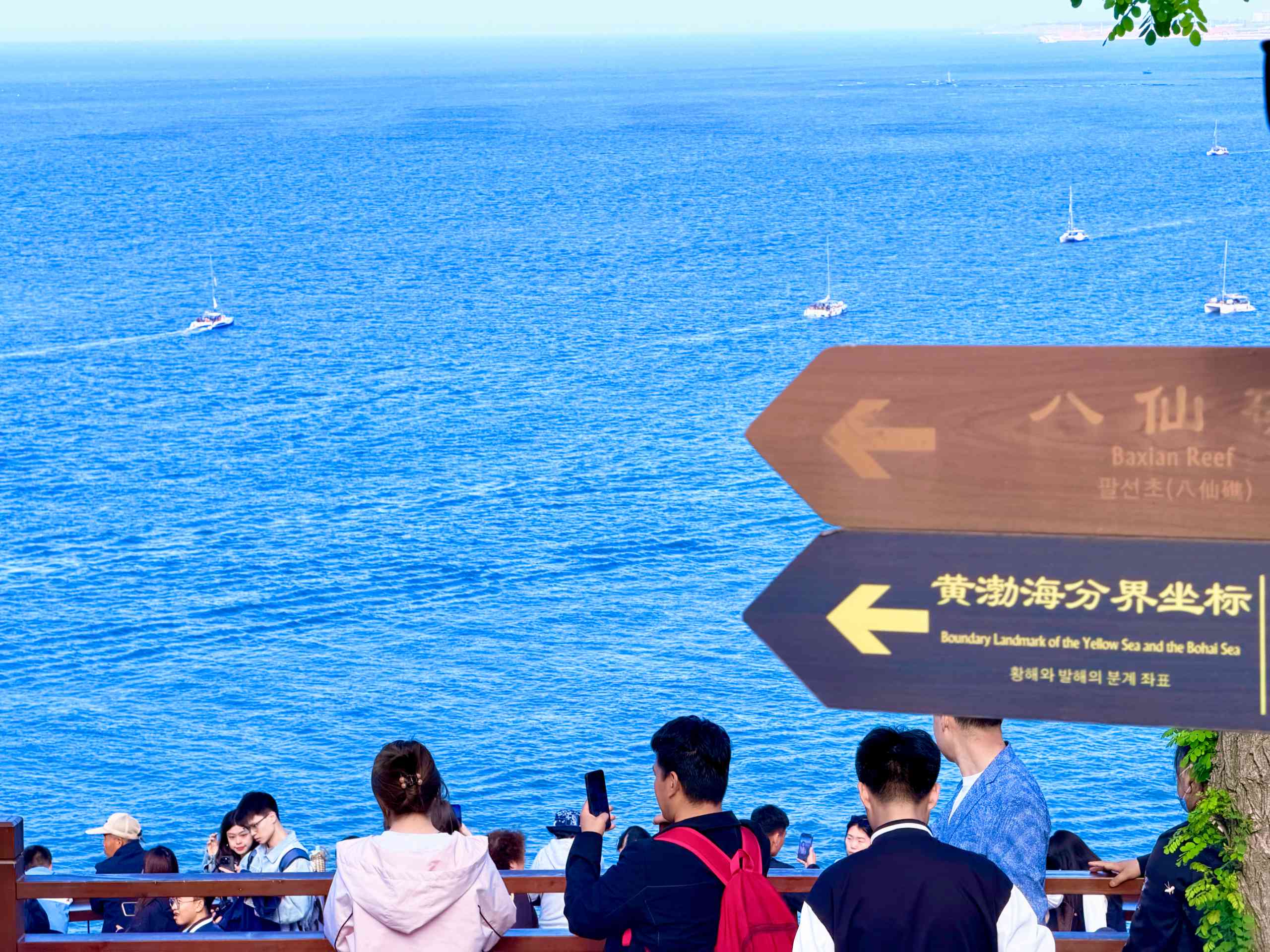 烟台相册第 21 张照片