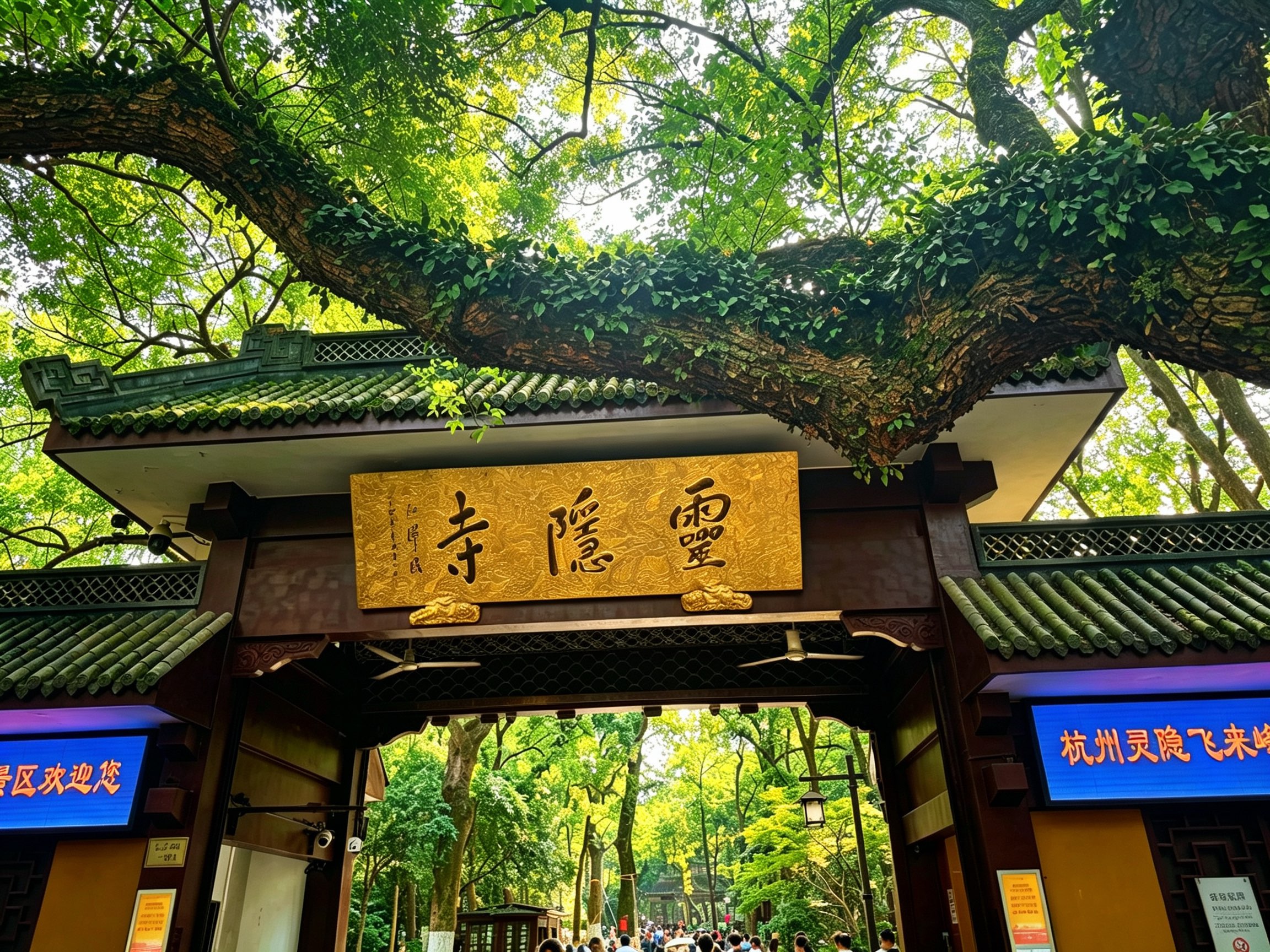 杭州相册第 12 张照片